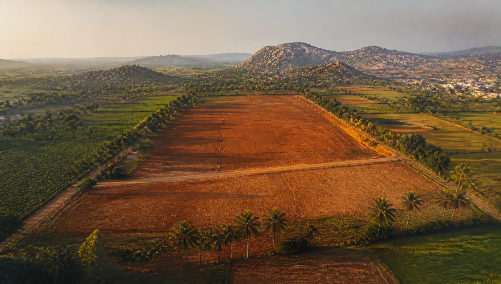 Aerial view of the thirteen-acre site near Mandya at golden hour